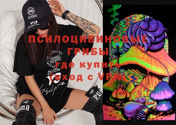 ешки Абинск