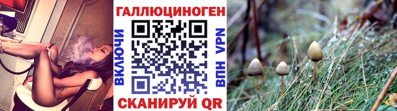 Псилоцибиновые грибы Cubensis  купить наркоту  Кадников 
